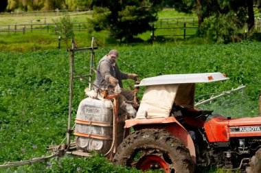 Man with tractor plowing 