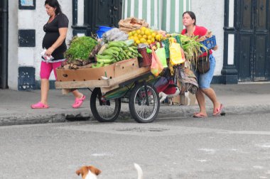 Sebze ve meyve karavanıyla kadın satıcı. 
