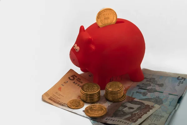 Kolumbianischer Peso Münzen Einem Sparschwein — Stockfoto