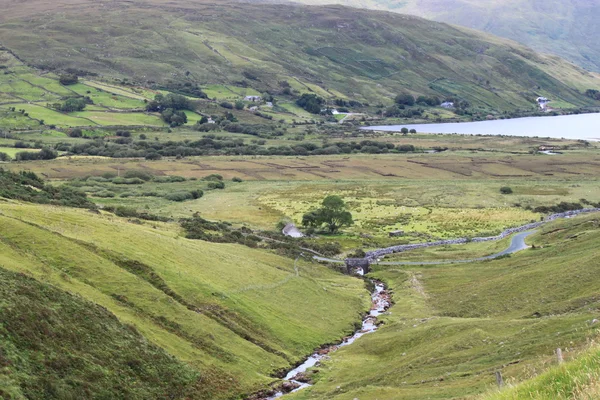 View of the country side — Stock Photo, Image