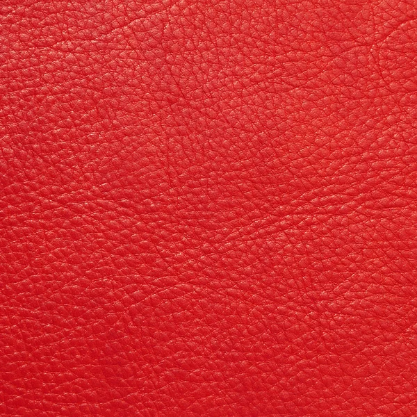 Texture cuir rouge — Photo