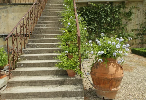 Treppe mit schmiedeeisernem Geländer und schönem Terrakottatopf — Stockfoto