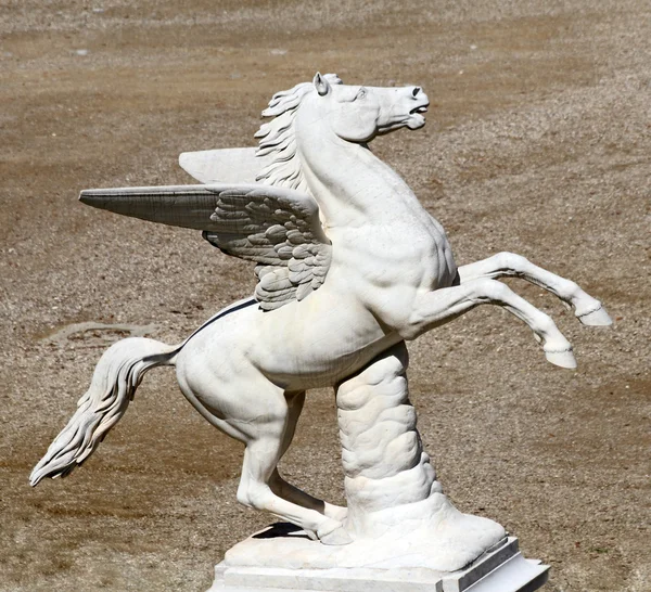 Pegasus Ordförande — Stockfoto