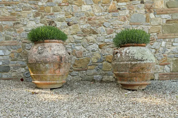 Classic tuscan huge terracotta flower pots — Stock Photo, Image