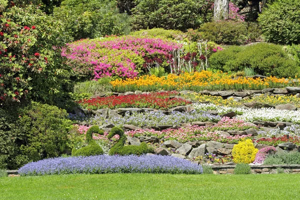 Multicolor flower beds on hillside — Stock Image Multicolor flower beds on hillside Stock Image