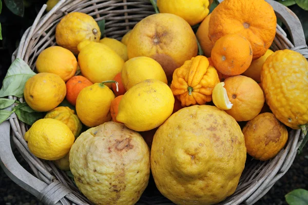 Korg med olika frukter av citrus familj — Stockfoto