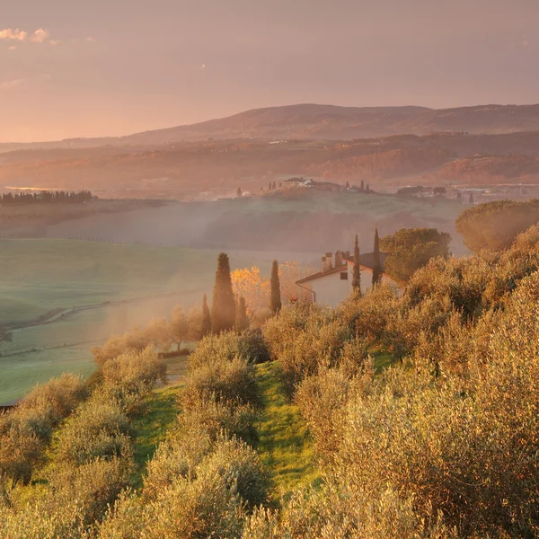 Wschód słońca w fantastyczny krajobraz Toskanii — Zdjęcie stockowe