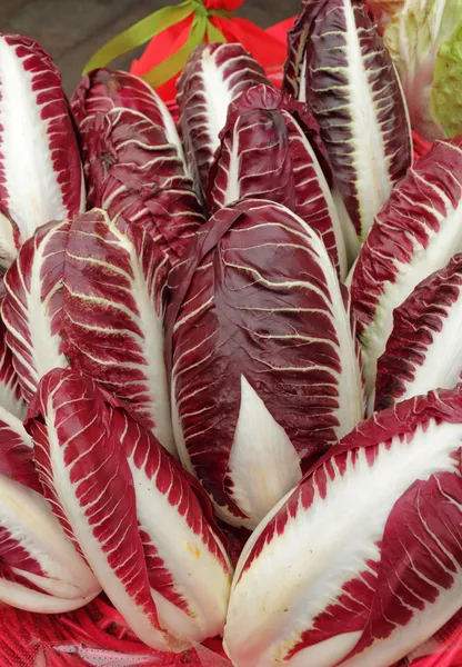 Radicchio Rosso di Treviso — Fotografia de Stock