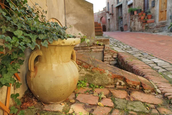 Vaso di fiori con edera rampicante e strada toscana — Foto Stock