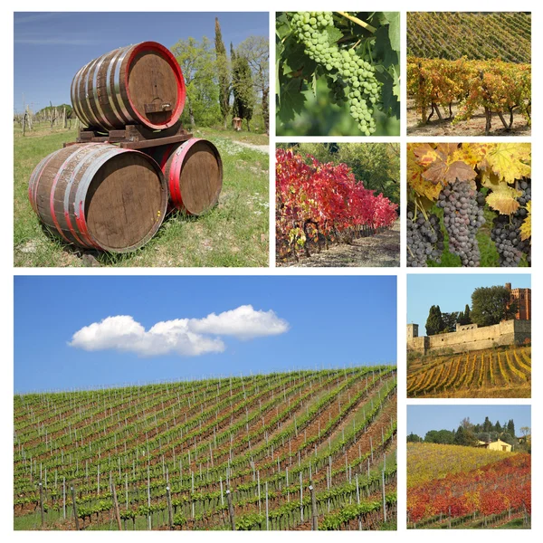 Weincollage — Stockfoto