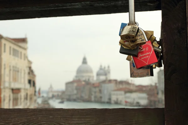 Love locks — Stock Photo, Image