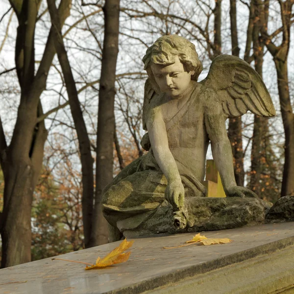 Ängel med ros-gravsten på Rakowice Cemetery i Krakow , — Stockfoto