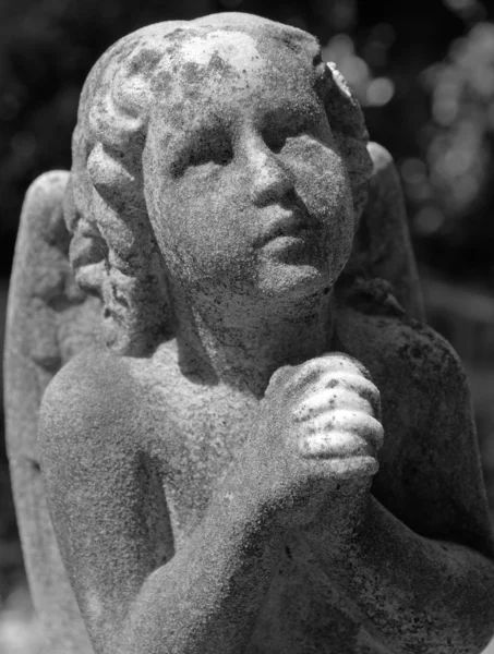 Praying angel - cemetery statue, Staglieno, Genoa, Italy, Europe — Stock Photo, Image