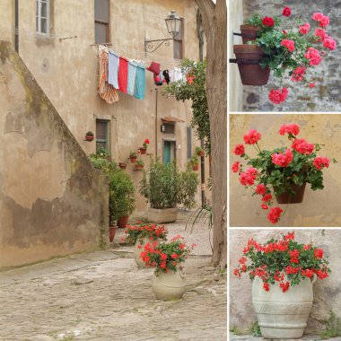 İtalyan stili arka bahçesinde kolaj, populonia, Toskana, Avrupa