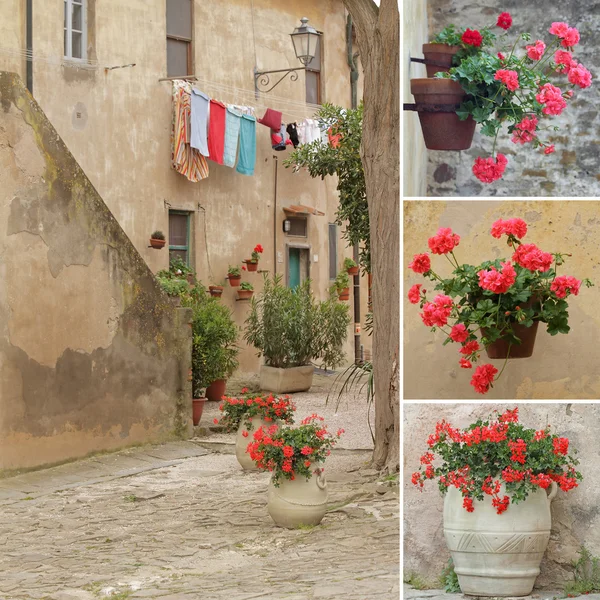 Italiensk stil bakgård collage, populonia, Toscana, Europa — Stockfoto