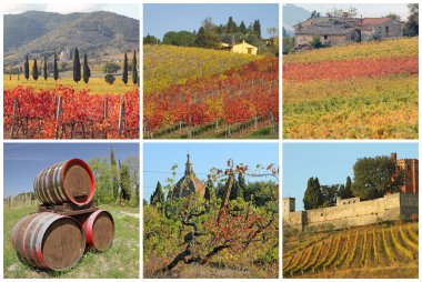 sonbaharın tuscan üzüm bağları ile fantastik görüntülerle kartpostal,