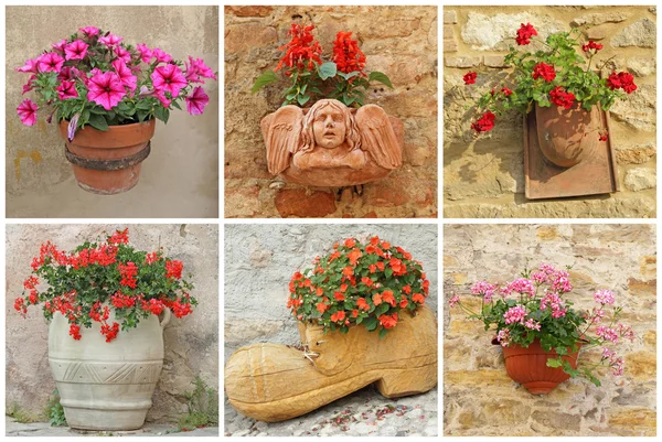 Collage con fiori da giardino in vaso — Foto Stock