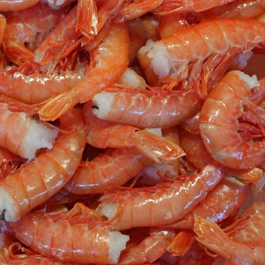 buğulanmış karides arka plan, Venedik, ita Balık pazarı takip