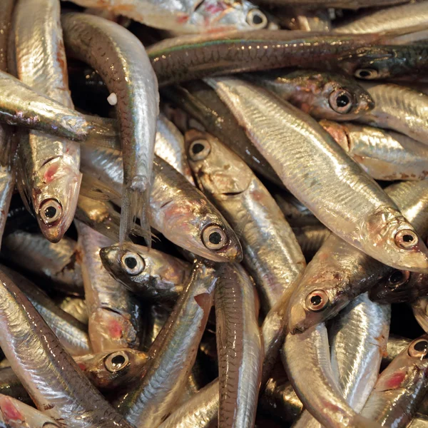 Close-up de anchovas no mercado, Veneza, Itália, Europa — Fotografia de Stock
