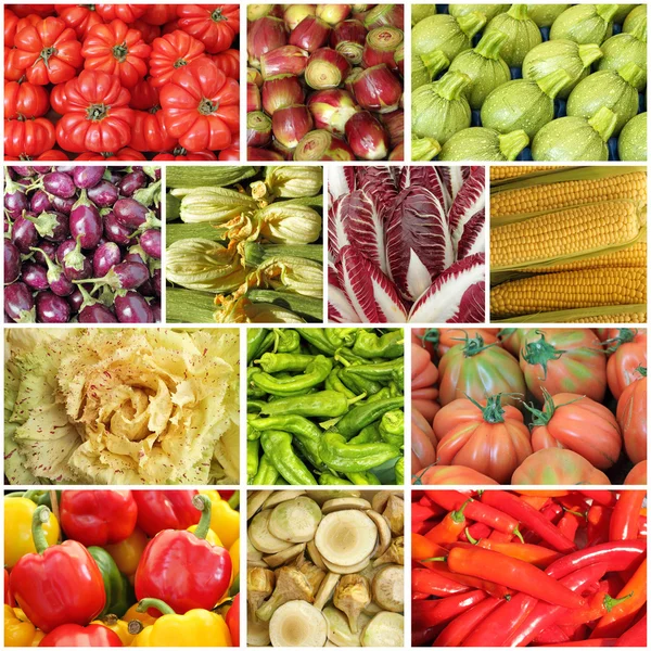 Jordbrukarna marknaden vegetabiliska collage — Stockfoto
