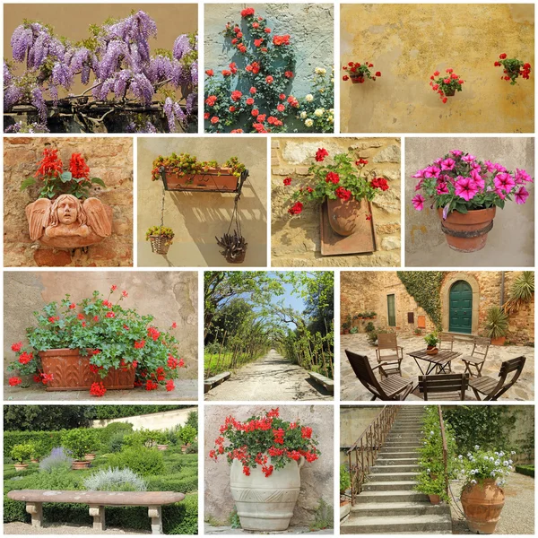 Dettagli del giardino toscano - collage — Foto Stock