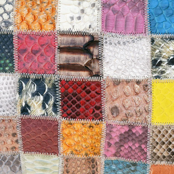 Bakgrund av python läder färgglada patchar — Stockfoto