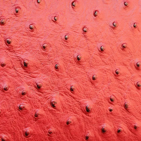 Texture in pelle di struzzo rosso — Foto Stock