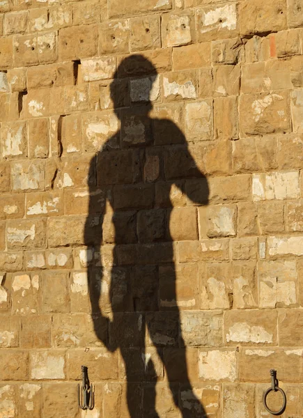 Silueta de la famosa estatua italiana de David proyectada en la pared o — Foto de Stock