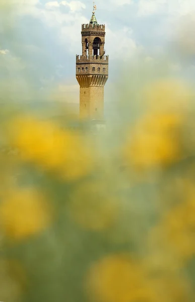 Florentiner Eindruck, der arnolfo-Turm (torre di arnolfo) em — Stockfoto