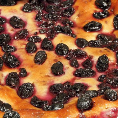Toskana şarap üzüm pasta ( Schiacciata tüm uva )