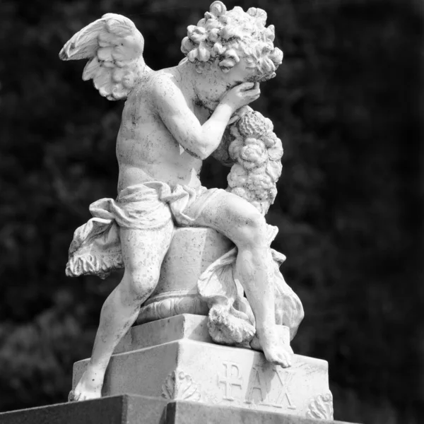 Crying angel, figure on Ixelles Cemetery (French: Cimetiere — Stock Photo, Image