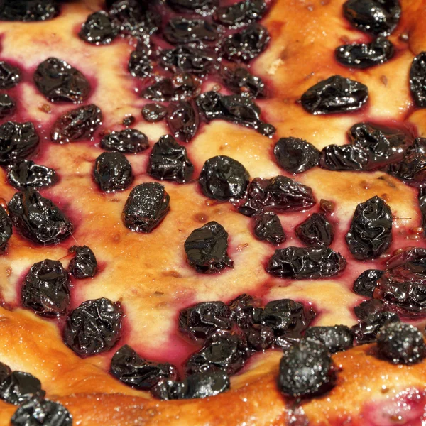 Toskana şarap üzüm pasta ( Schiacciata tüm uva )