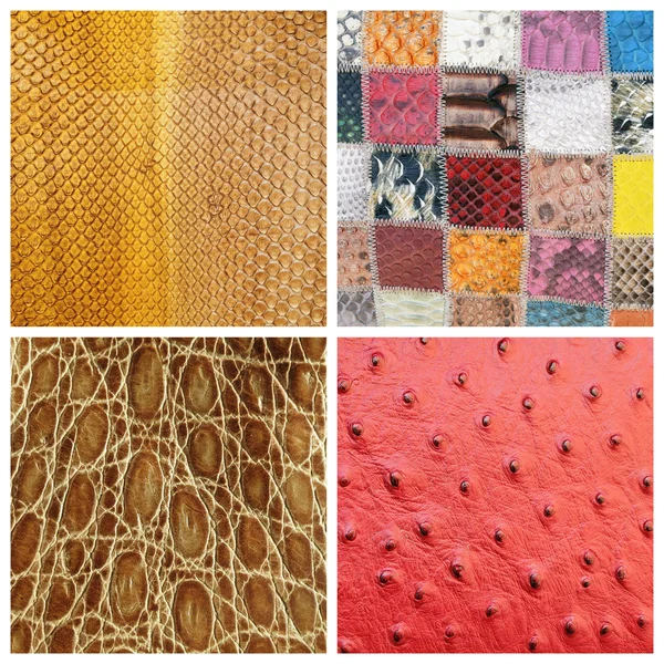 Various fine leather samples collage — Stock Photo, Image