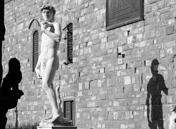Standbeeld van david van michelangelo op piazza signoria, florence, het — Stockfoto