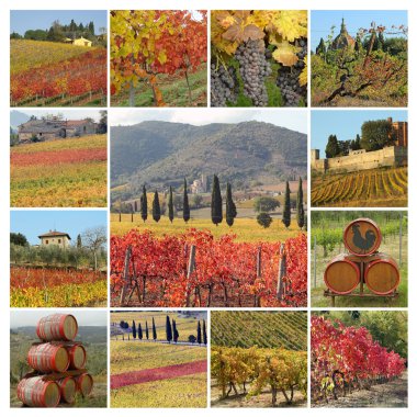 sonbahar tuscan üzüm bağları kolaj, İtalya, Avrupa