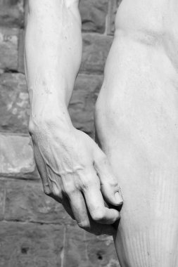 el ve kalça David Heykel Michelangelo'nun, Floransa, tu