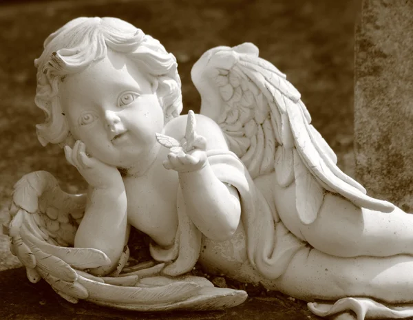 Petit ange avec papillon, statue en sépia — Photo