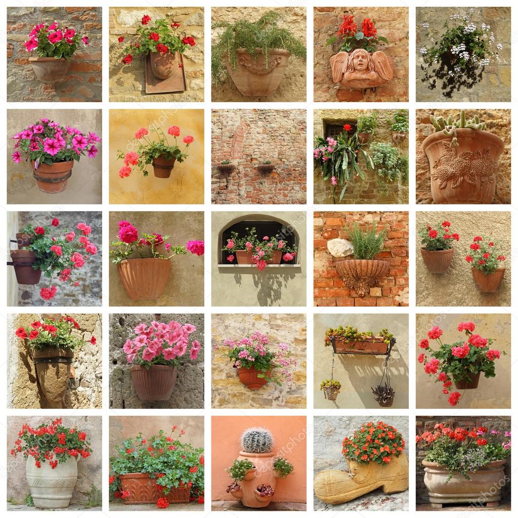 collection of images with flowers in stylish containers, Italy,
