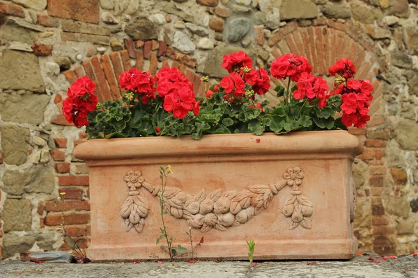 Fiori di geranio rosso in scatola di terracotta retrò ornamentale, Toscana — Foto Stock