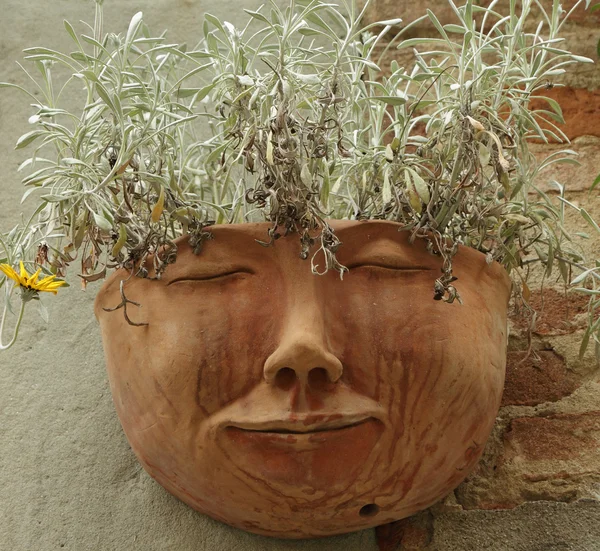 Κεραμικό δοχείο στο σχήμα του ανθρώπινου προσώπου με φυτά στον τοίχο, t — Φωτογραφία Αρχείου