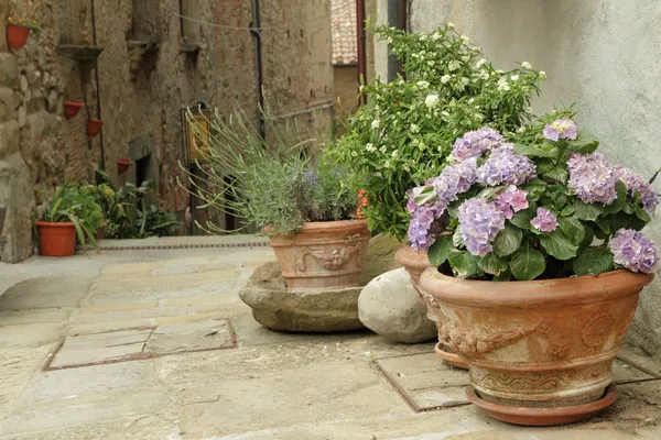 Flowering plants in decorated ceramic vases on tuscan narrow str — Stock Photo, Image