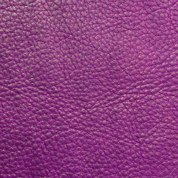 Textura de couro roxo como fundo — Fotografia de Stock