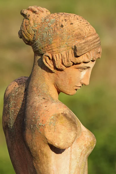 Bellezza classica, statua femminile in terracotta toscana, Firenze, It — Foto Stock