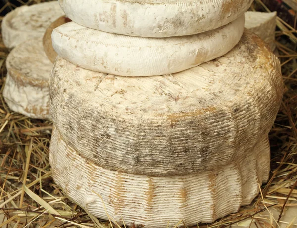 Bio queijo no mercado dos agricultores italianos — Fotografia de Stock