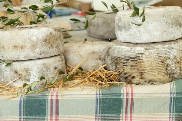 Rodas de queijo no mercado dos agricultores da Toscana — Fotografia de Stock
