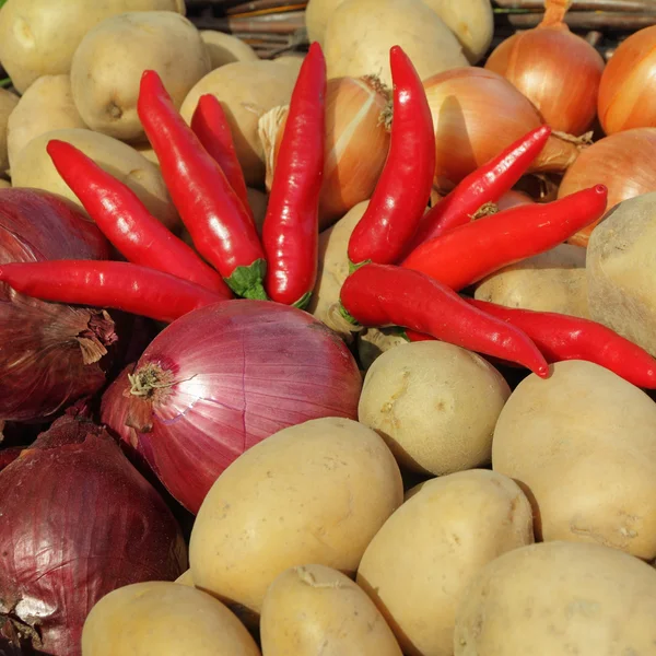 Fresh vegetables on farmers market — Stock Photo, Image