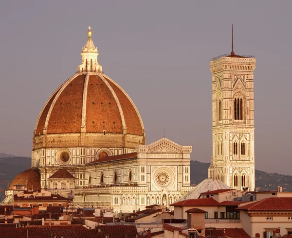 Maravillosa vista de la catedral de Florencia al amanecer — Foto de Stock