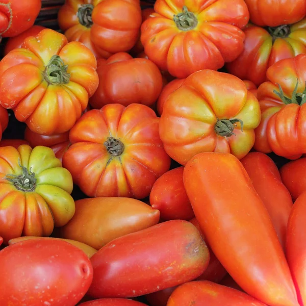 Organic tomatoes as background — Stock Photo, Image