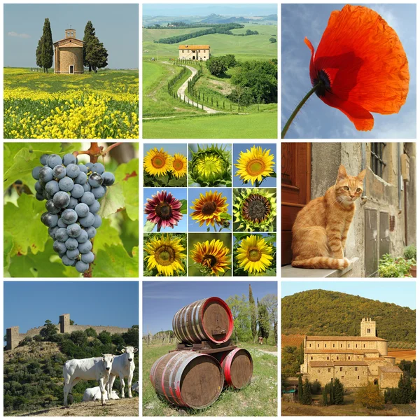 Vackra Toscana collage — Stockfoto