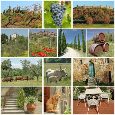 fantastic tuscan countryside collage clipart